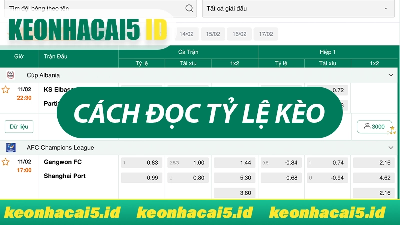 Cách đọc tỷ lệ kèo bóng đá hôm nay
